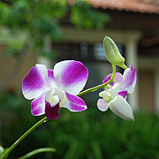 Hotel Sunari